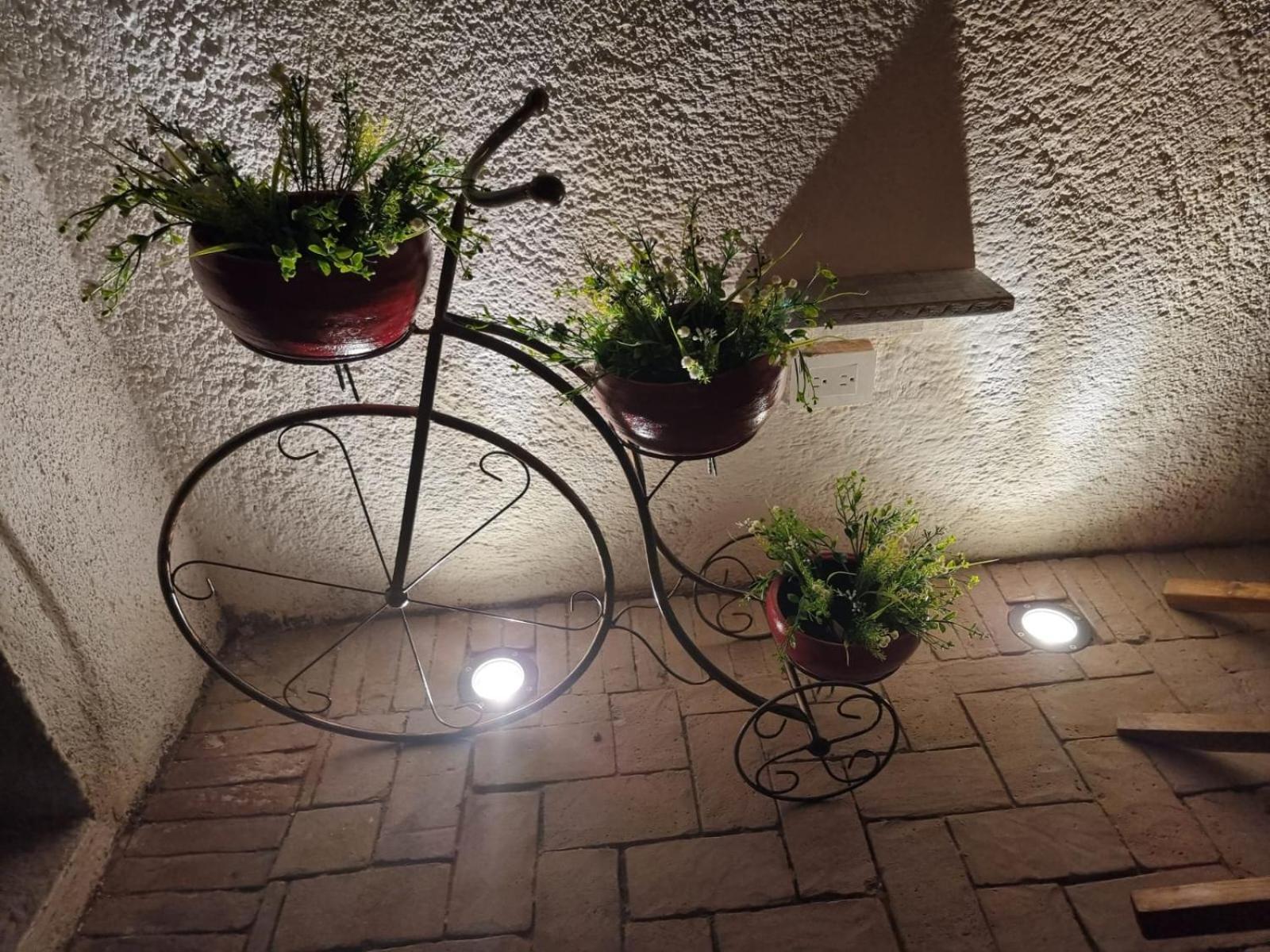 Apartment Huerto Don Antonio